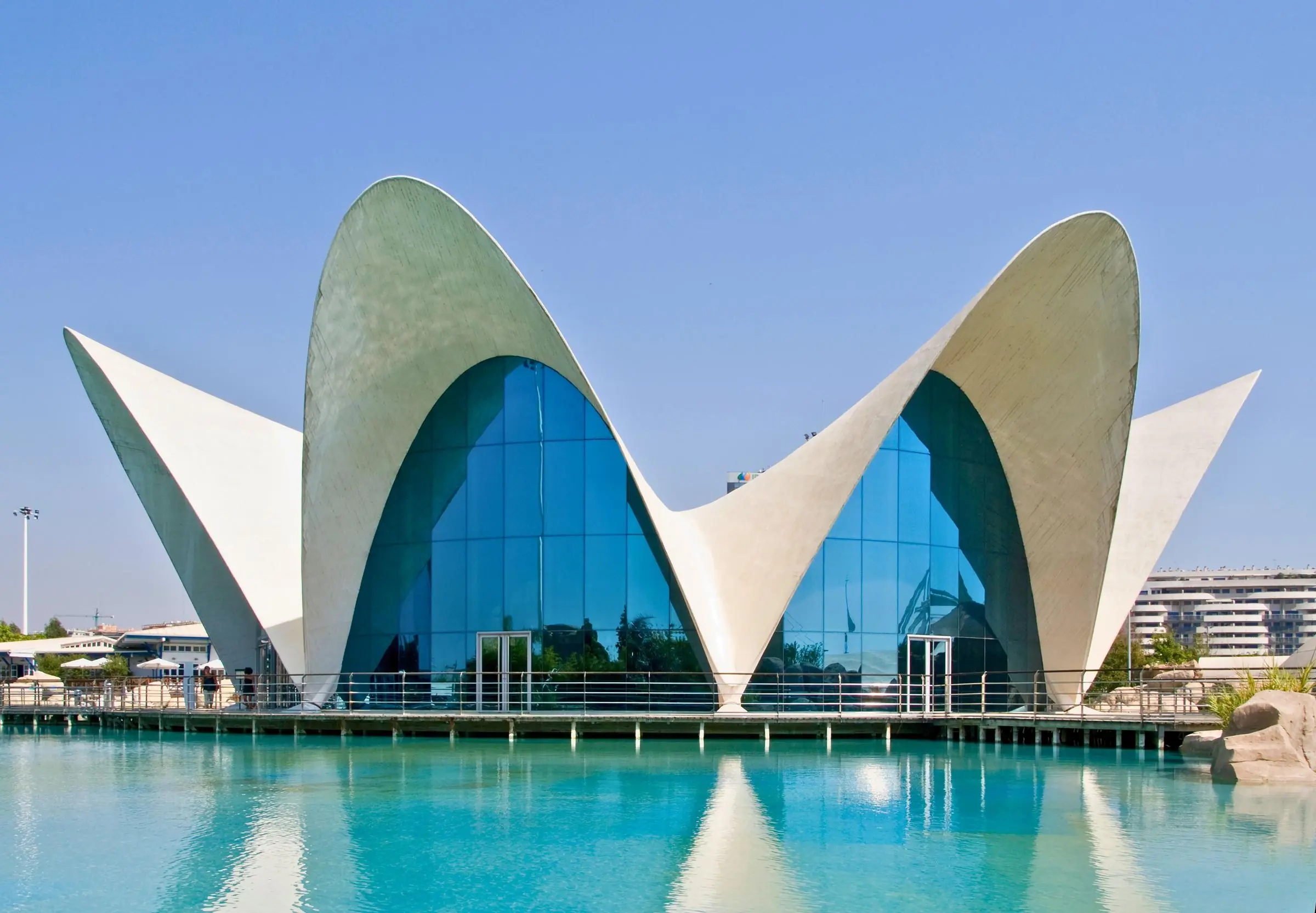 The futuristic exterior architecture of Oceanogràfic in Valencia