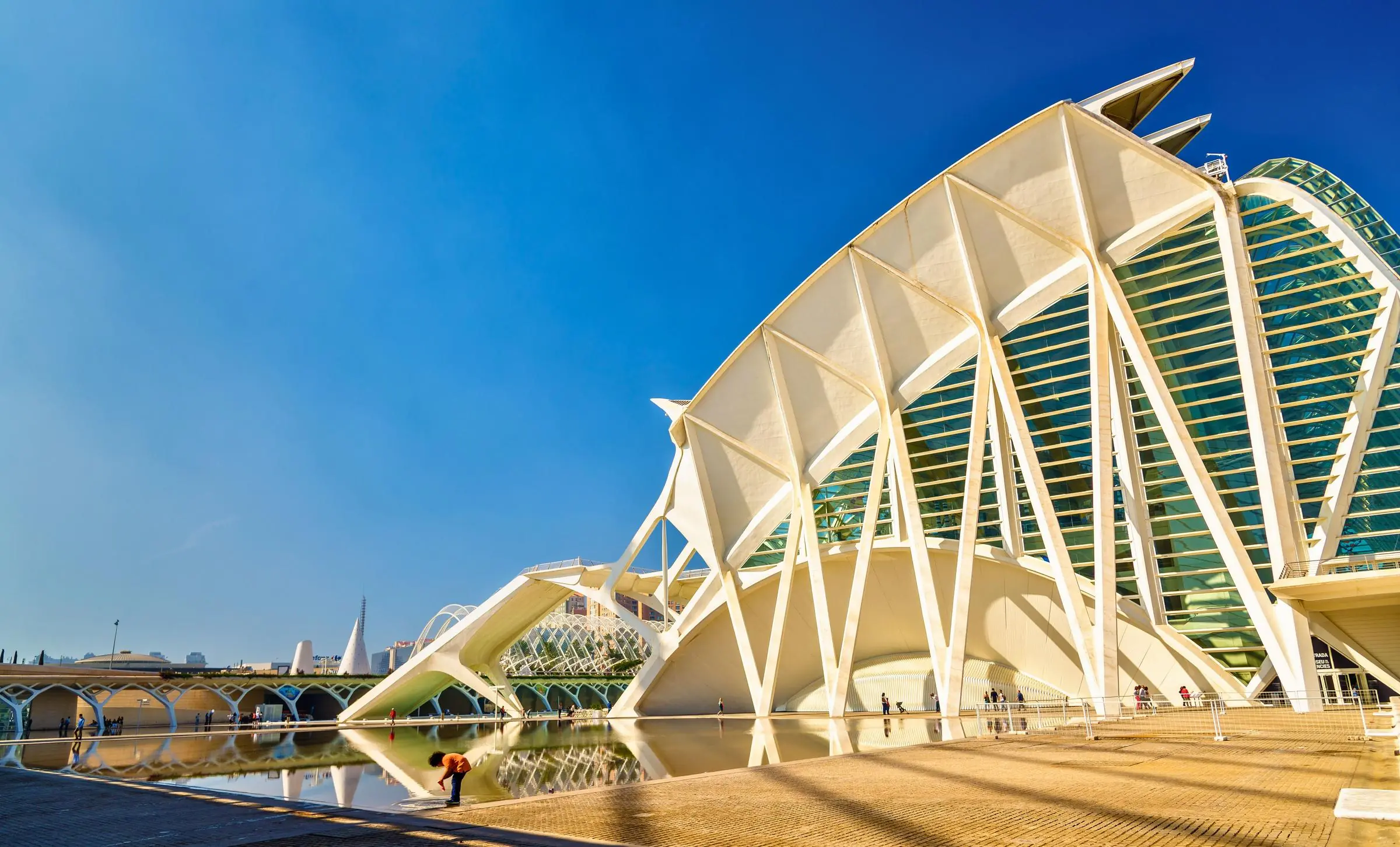 Museu de les Ciències Príncipe Felipe The exterior of the Science Museum showing its white, skeletal architectural design
